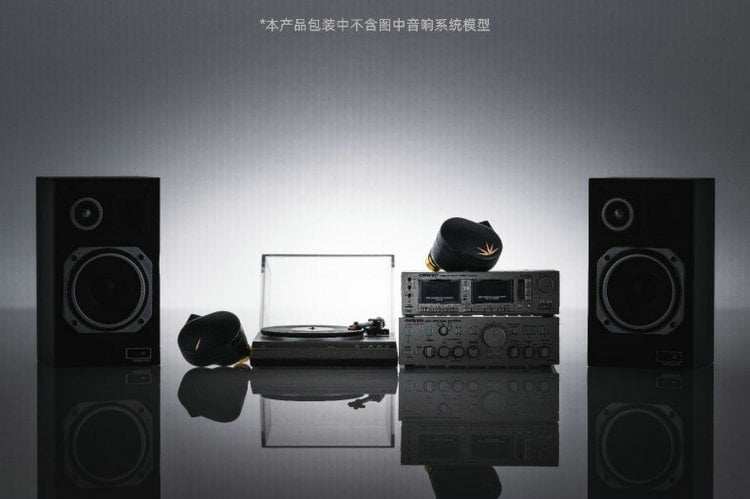 Проводные HiFi наушники 竹二代dsp可换线入耳式hifi耳机