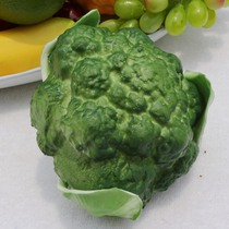 Simulated broccoli green White simulated fruit and vegetable model Home decorations Enlightenment education for children