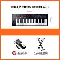 Axygen Pro 49+ педали+ кронштейн (Spot