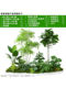 Tropical simulated plant landscaping entrance hall restaurant simulated plant landscaping combination window decoration green plant landscape