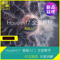 Houdini17 Chinese Tutorial Getting Started Complete Teaching Particle Fireworks Broken Sop Vop Pyro Flip