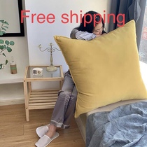 大抱枕头 big pillow hold pillows bed set 60X60 80X80cm