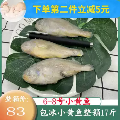 Fresh frozen small yellow fish, yellow croaker, No 6-8, 17 kg hotel barbecue ingredients, Jiangsu, Zhejiang, Shanghai and Anhui