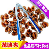 Blood clam pliers flower clam clam clam pliers blood clam clam clam pliers blood clam clam