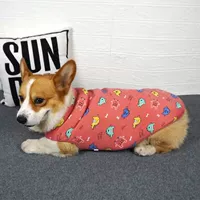 Динозавр, удерживающий тепло жилет