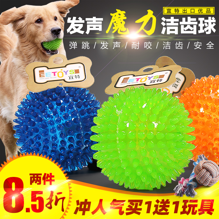 Pooch Toy Jump Ball Puppy Teddy Bite Gold Mullabrador Puppies Pet Grindle Training Large Dogs