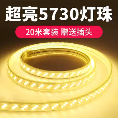 (20 meters)5730 three-color LED light with double rows of ultra-bright suspended ceiling outdoor waterproof color-changing long line light 220V