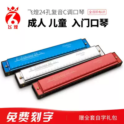 German imported reed Feihuang 24-hole C-tuned polyphonic harmonica Advanced adult children beginner student musical instrument