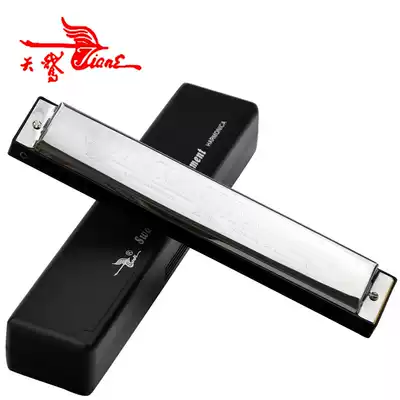 Swan harmonica accent adult beginner student advanced 24-hole polyphonic# C tone A tone B tone d E tone F
