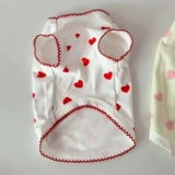 Pet Spring и летний мягкий жилет Тедди Бибельбаби