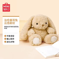 Сидящие вьющиеся волосатые кролики - Миа