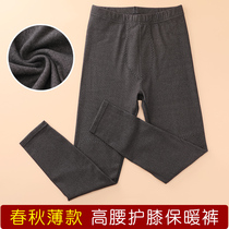 Spring and autumn velvet autumn trousers women wear high waist knee padded leggings elastic tight cotton pants thin warm pants