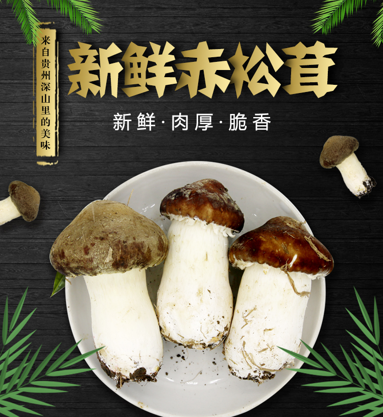 紫云 贵州新鲜赤松茸 野生食用菌菇 1000g 天猫优惠券折后￥25.9包邮（￥55.9-30）