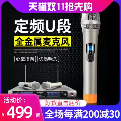 HYUNDAI modern H-500 wireless microphone one drag two wireless microphone conference home karaoke microphone