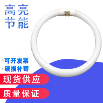 Starlight crack Zhang Fei Bolet desk clip-type desk lamp magnifying glass universal T5 20W ring headlight tube