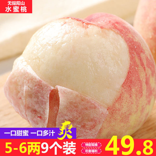 山水集 无锡阳山水蜜桃 5-6两 共9个礼盒装 天猫优惠券折后￥39.8包邮（￥59.8-20）