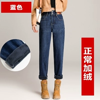 Синий 【8375 Нормальный флис 】【 слегка плотный】