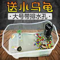 Turtle box with drainage breeding box household size turtle tank Villa water and land tank Brazil cylinder with drying table hatching Basin