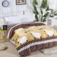 Đôi 200x230cm chăn nhung một mảnh flannel mùa đông dày nhung san hô ấm sang trọng chăn đơn - Quilt Covers