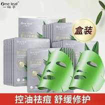 One leaf soothing mask