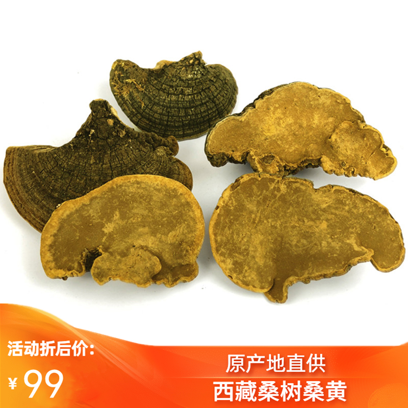 Tibetan wild mulberry tree mulberry yellow whole quality Phnom Penh autonomous region natural authentic yellow lingzhi 100 gr 100g