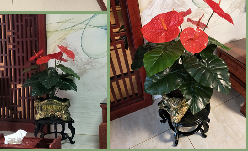 Cây giả mô phỏng cây may mắn trong chậu cảnh quan phòng khách nội thất sàn trang trí cây lớn cây xanh hoa nhựa trang trí cây giả - Hoa nhân tạo / Cây / Trái cây giả hạc hoa hồng đỏ