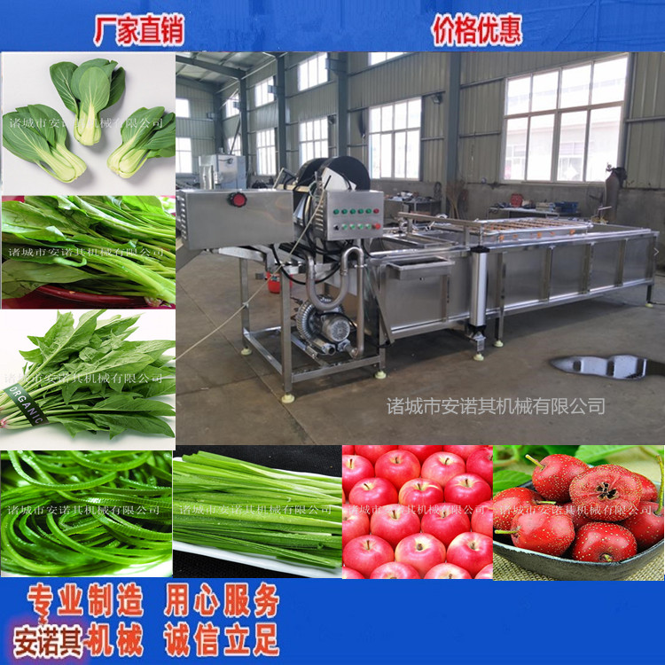 Special cleaning machine for Yaman Vegetable Cleaning Machine Sauce Cleaning and Desalination Equipment Leaf Vegetable Cleaning Machine
