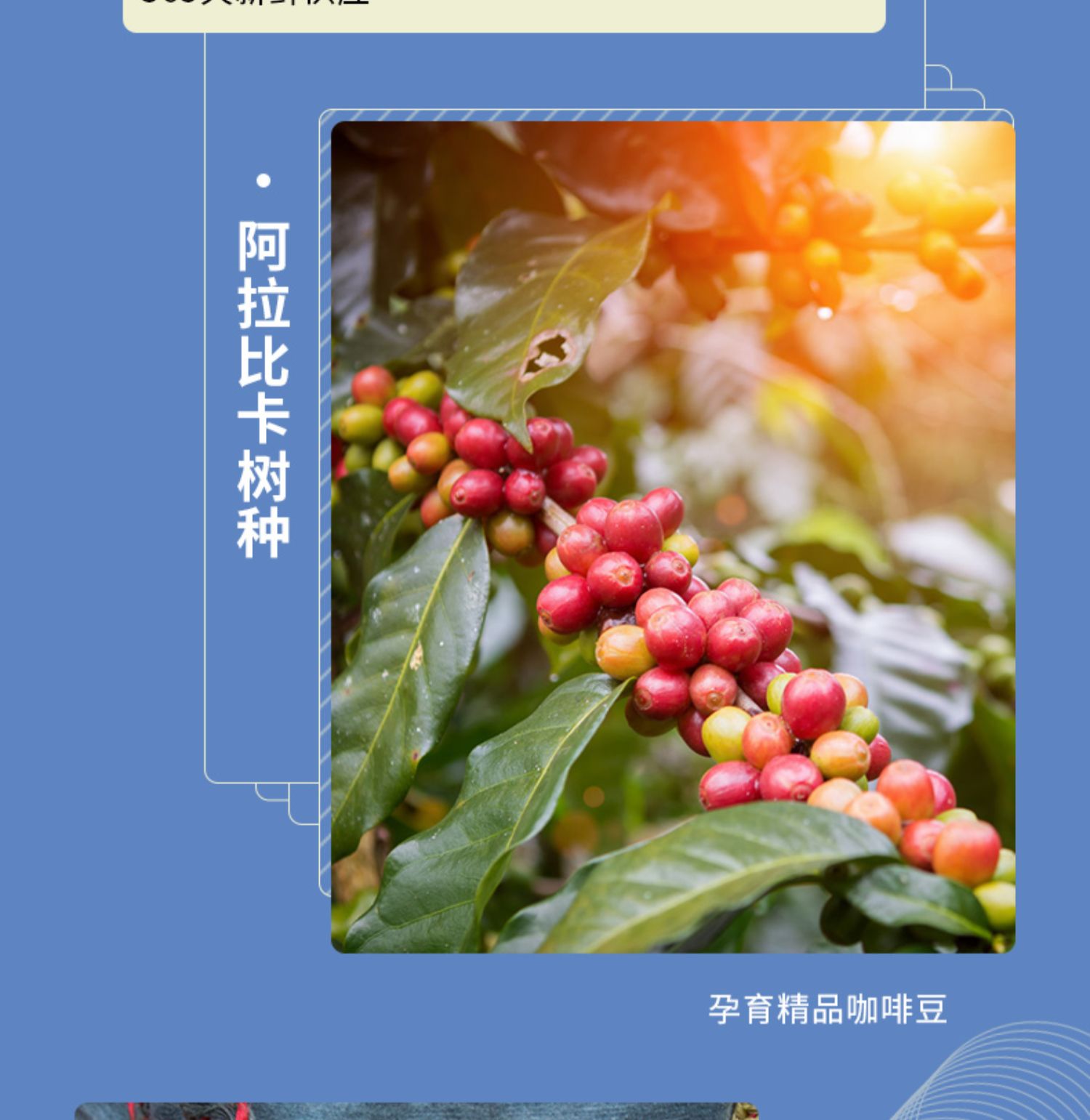 nevercoffee即饮美式纯黑咖啡摩卡