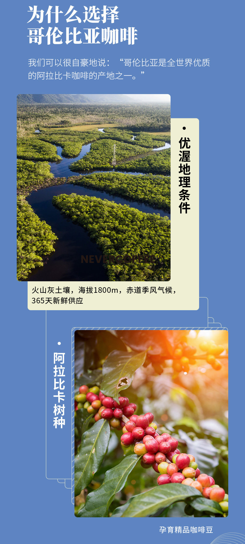 Never Coffee 美式拿铁即饮咖啡 250mlx6盒 19.9元包邮 值值值-买手聚集的地方