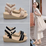 Сандалии, обувь, летняя универсальная подходит с юбкой на платформе для отдыха