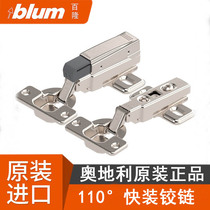 Austria imported blum blum hinge cabinet wardrobe door hinge aircraft hydraulic damping buffer pipe hinge 2550