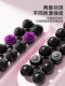 Pilates Caterpillar Spine Corrector Spinefitter Little Dolphin Training Equipment Yoga Tools Massage