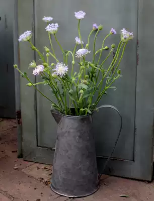Defect treatment does not return American country style wrought iron to make old retro single iron pot