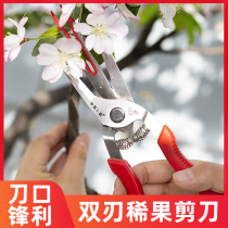 Nakamura Ichiro double-edged flower thinning scissors Apple peach fruit cut grape citrus gardening flower picking and cutting