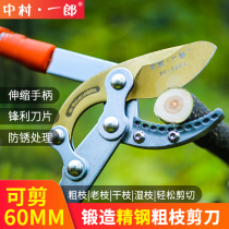 Nakamura Ichiro vigorously cut large open Fruit tree pruning shears retractable labor-saving scissors Orchard high-branch shears