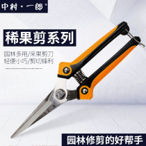 Nakamura Ichiro Orchard flower cut citrus picking and cutting Apple peach fruit fruit cutting horticultural grape pruning shears