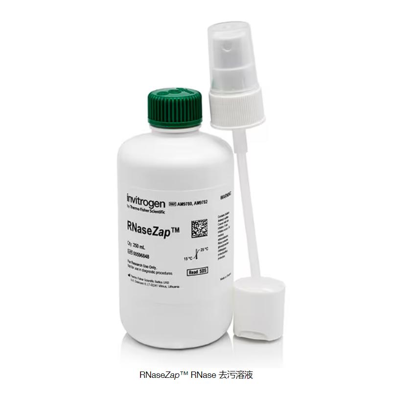AM9780 RNaseZap? RNase 去污溶液 赛默飞Invitrogen