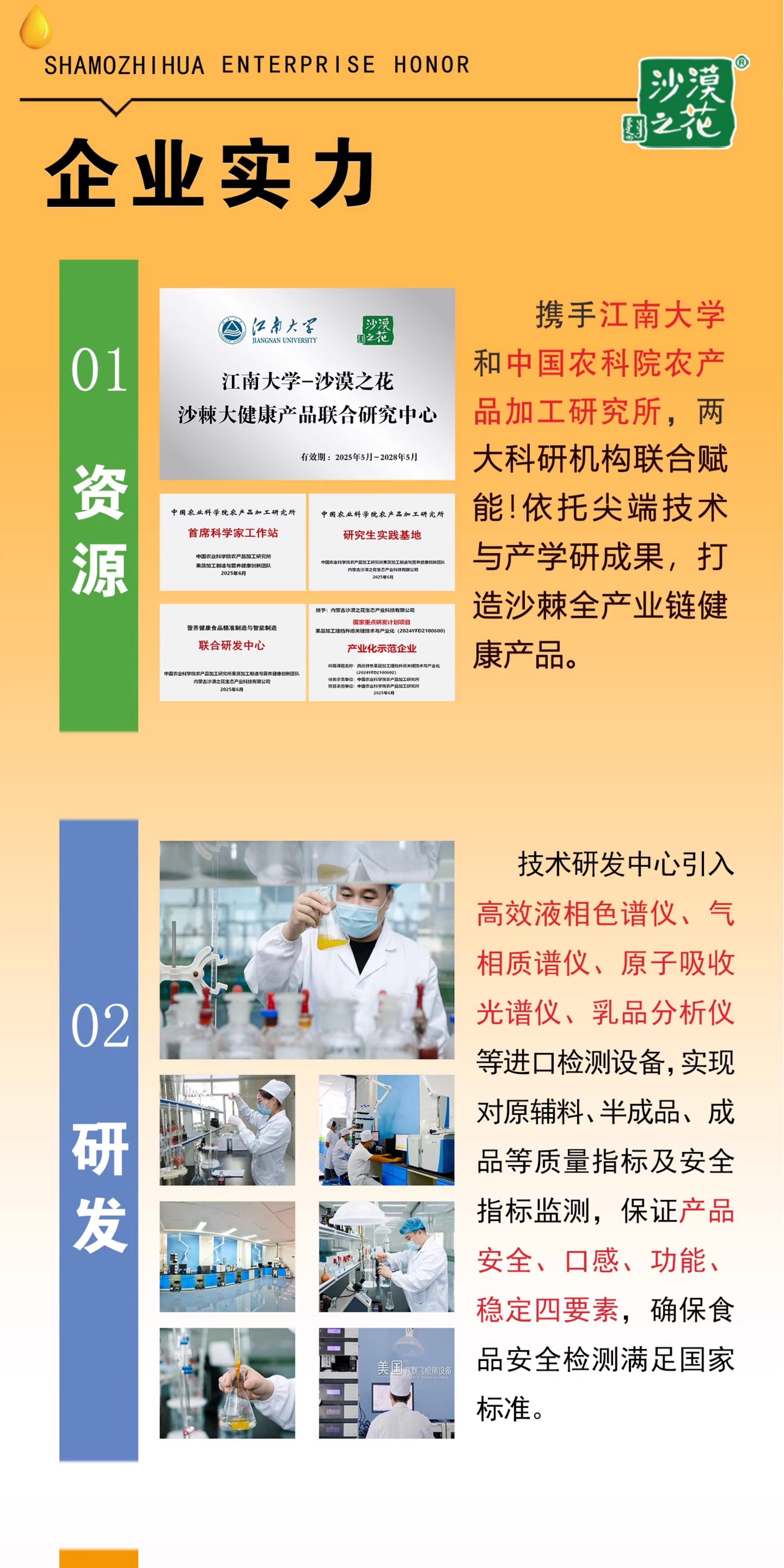 安享好物 安享C级混合果蔬汁-沙漠之花经典沙棘汁 国标 