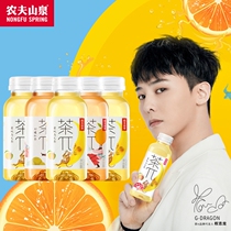 Nongfu mountain spring tea wu tea pie 500ml * 15 bottles of peach oolong lemon black tea 250 900 grapefruit tea drink