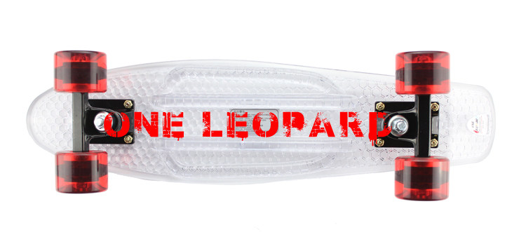 Skateboard pour homme femme - Ref 2596351 Image 40
