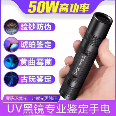 UV flashlight fluorescent detector pen small purple light banknote detector Aspergillus flavus test lamp rechargeable