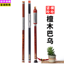 Zile Bau vertical blowing cross-blowing mahogany Ebony Ebony G F-tune adult primary school students beginner professional performance instruments