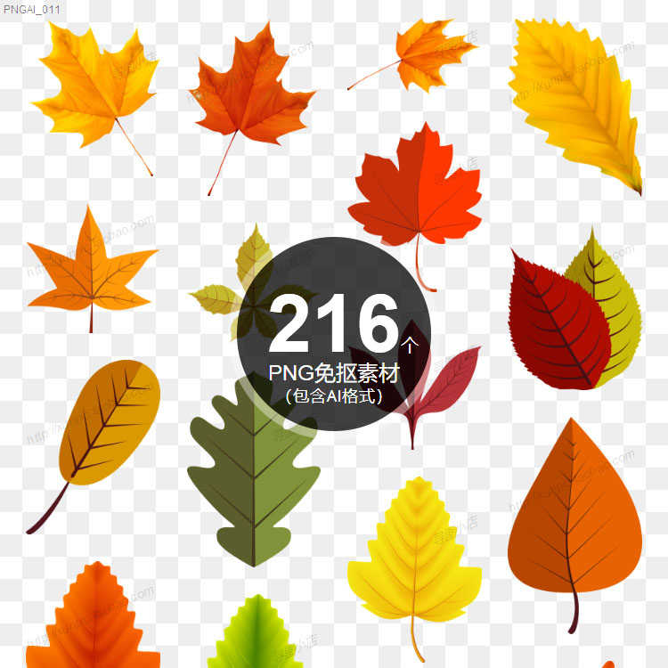 秋天的叶子金黄色枫叶图片png免抠素材矢量ai素材秋天叶子形状