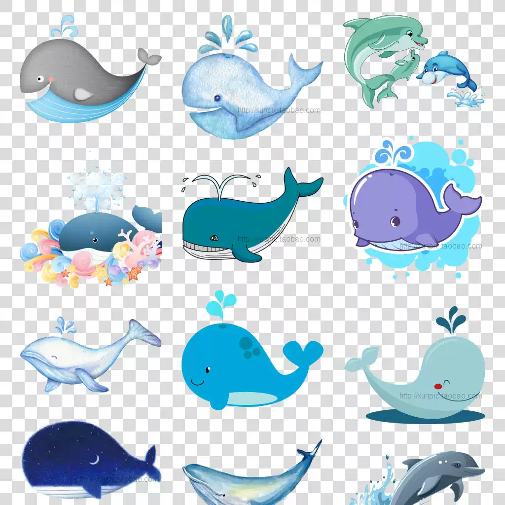 鯨魚圖片藍鯨模板PNG免扣元素高清免摳素材鯨魚海洋魚類
