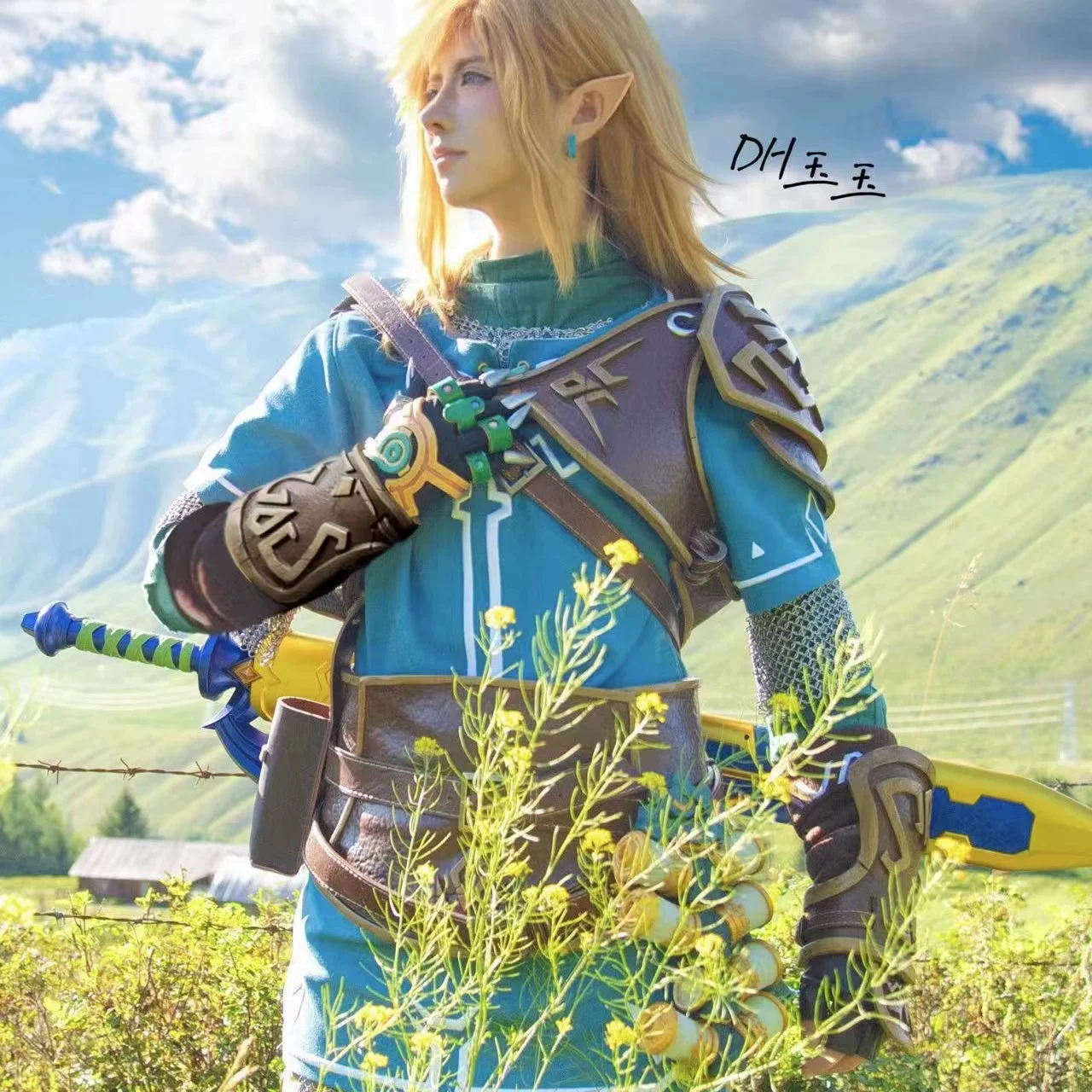 Зельда Легенда Плач Лесов Королевство Диких Вод Zelda, косплей, косплейная одежда, полное обмундирование, доспехи