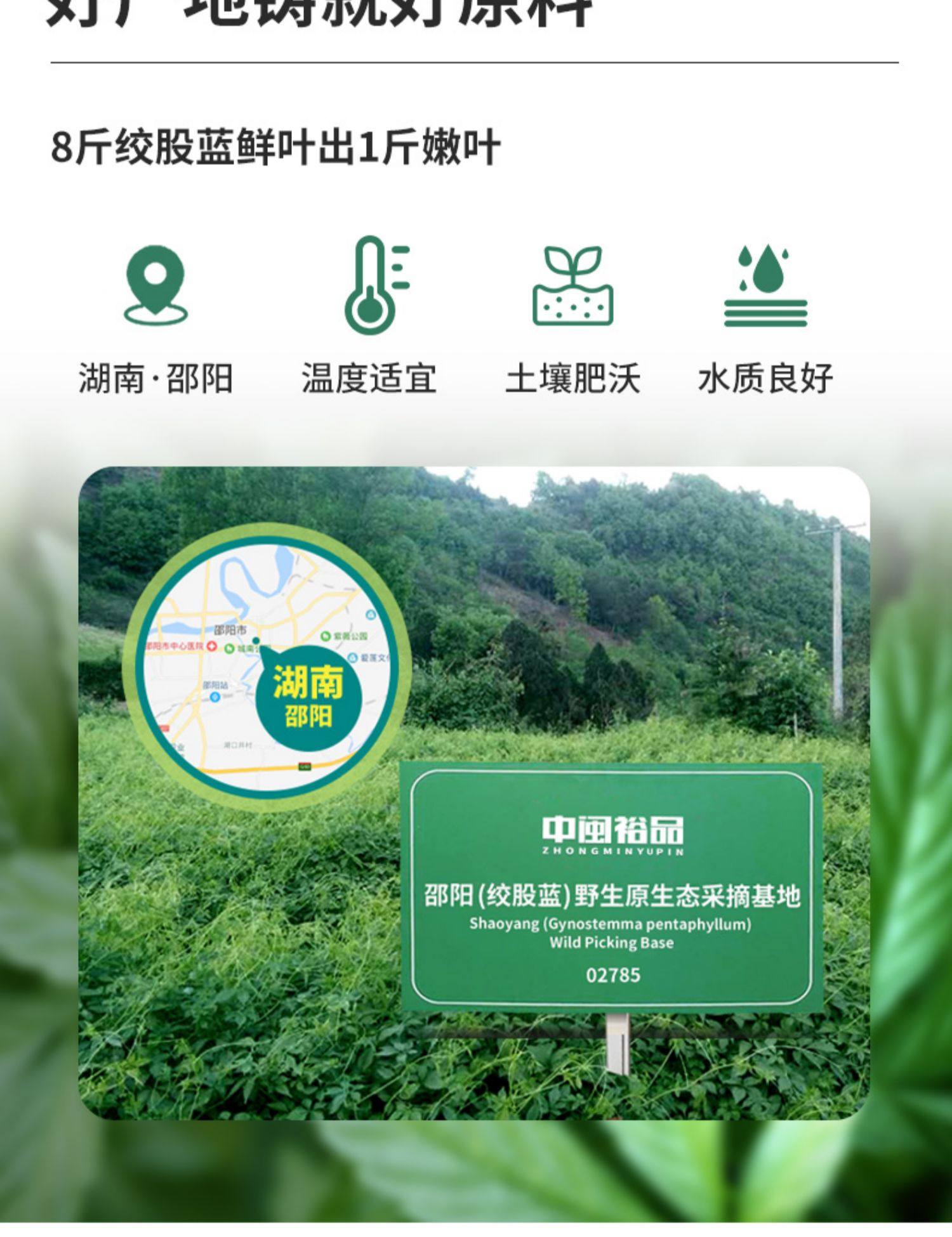 降三高 中闽裕品 绞股蓝 50g 天猫优惠券折后¥9.9包邮(¥49.9-40)