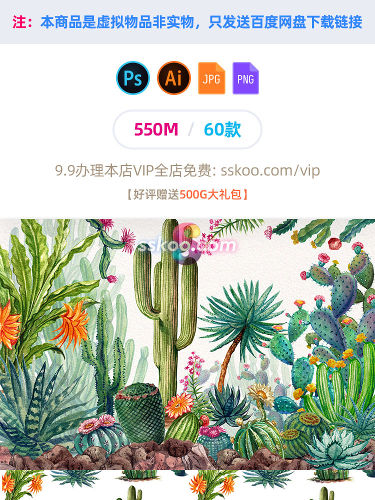 热带沙漠仙人掌仙人球石头多肉盆景植物手绘水彩插画PNG免扣PSD插图1