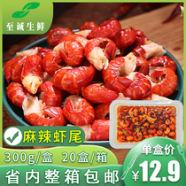 Full Shop Single full RMB500  send 300 gr Shrimp Tails 1 copy of Filmed Withdrawal