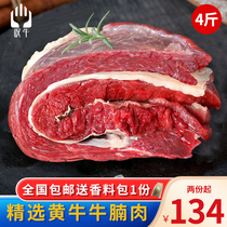 Scalloin Beef 4 catties Lean Beef Family Raw Fresh Red Braised Beef Brisket Pot Hot Pot Stew Meat Ingredients Commercial Delivery