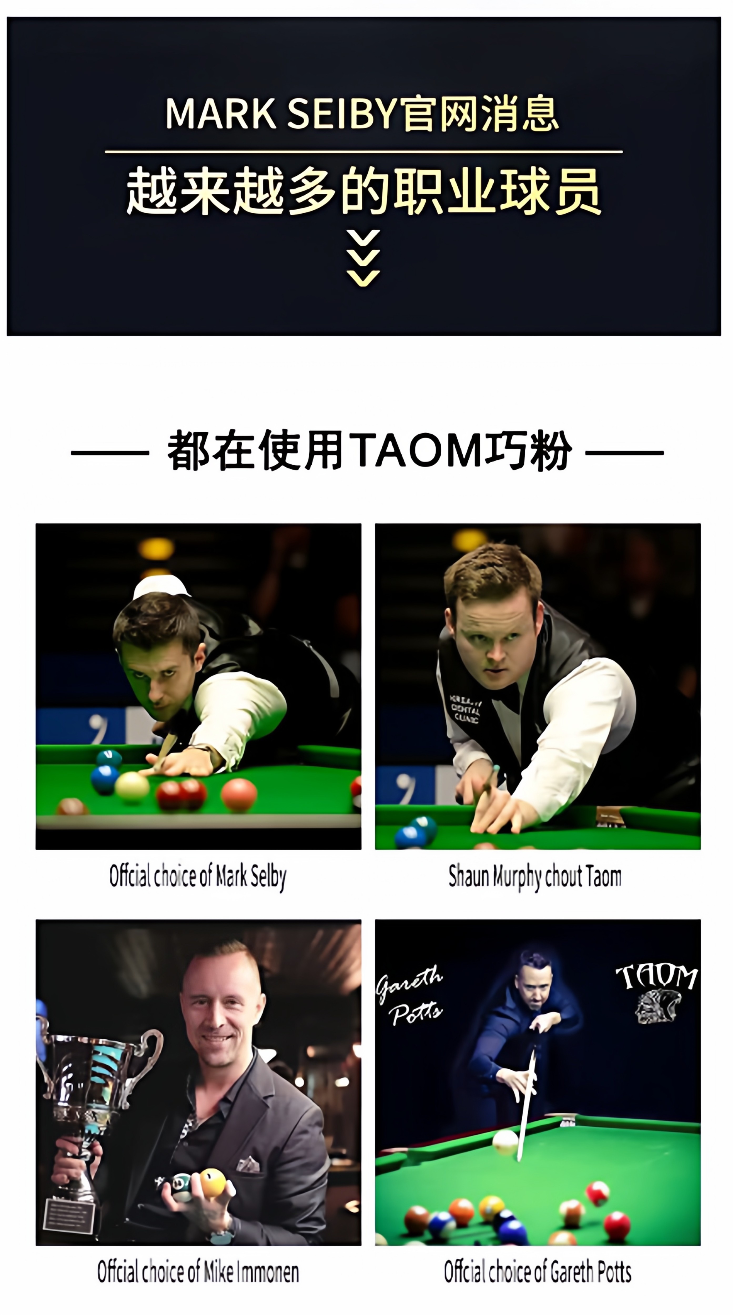 Мел для кия 【芬兰】taom巧粉塔悟姆v10巧克粉圆形台球杆职业斯诺克中八枪粉